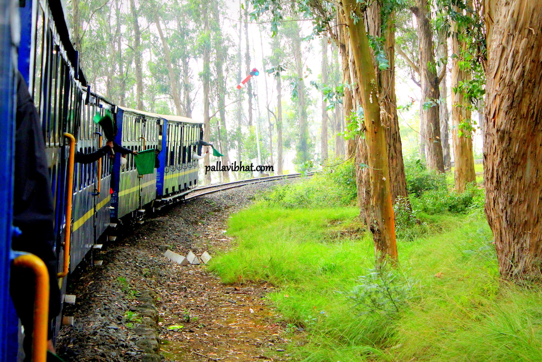 OotyCoonoor itinerary 3 days 2 nights in Coonoor Pallavi Bhat